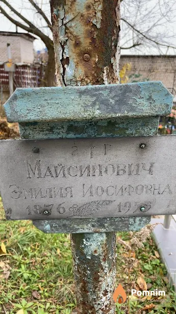 Майсинович Эмилия Иосифовна