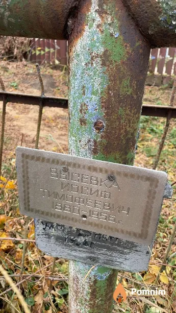 Высевка Иосиф Тимофеевич