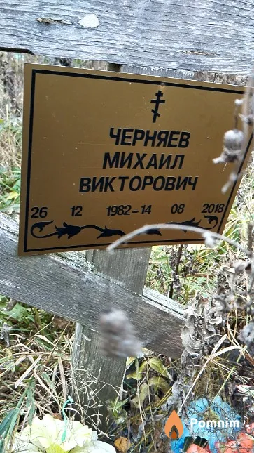 Черняев Михаил Викторович