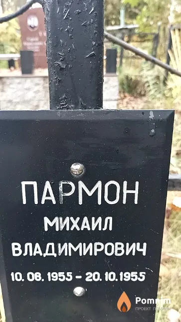 Пармон Михаил Владимирович