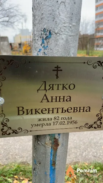 Дятко Анна Викентьевна