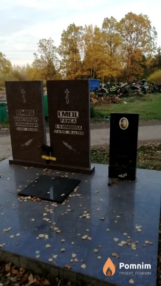 Емец Александр Васильевич
