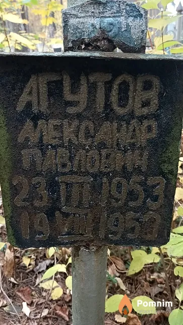 Агутов Александр Павлович