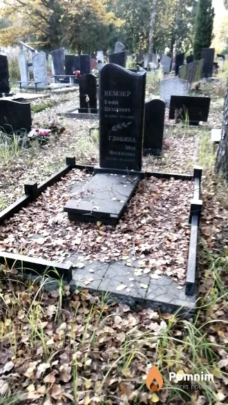 Немзер Ефим Цезаревич