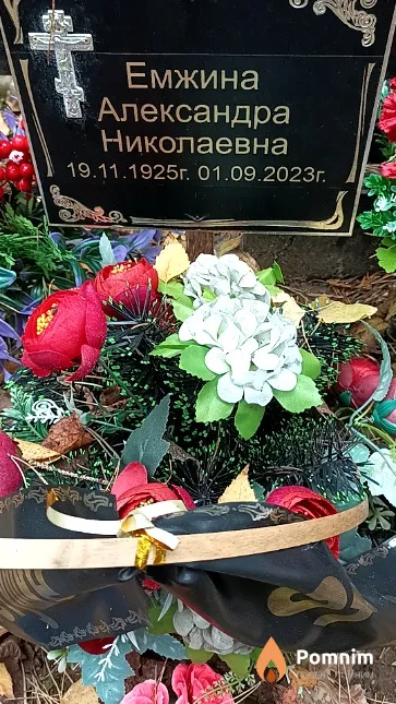 Емжина Александра Николаевна