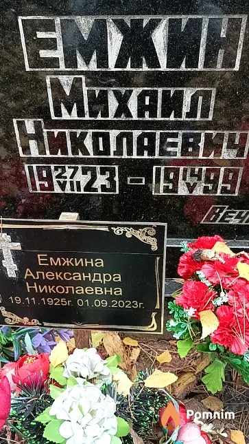 Емжин Михаил Николаевич