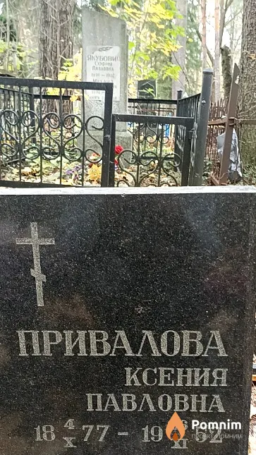 Привалова Ксения Павловна