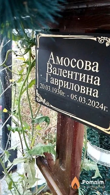 Амосова Валентина Гавриловна