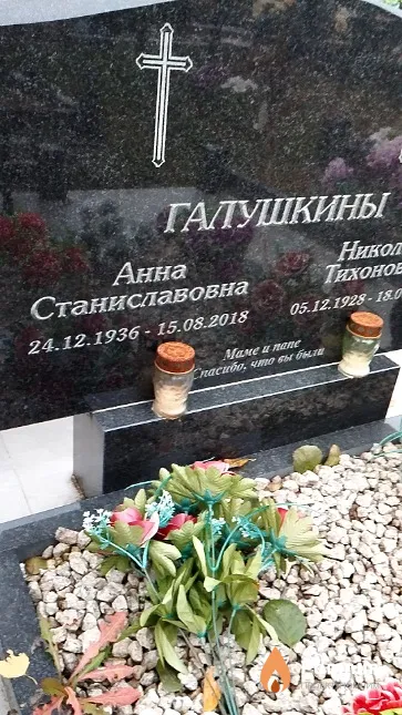 Галушкина Анна Станиславовна