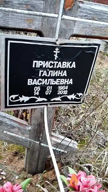 Приставка Галина Васильевна