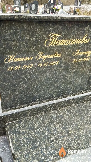 Пешехонова Наталья Георгиевна
