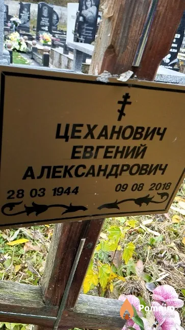 Цеханович Евгений Александрович