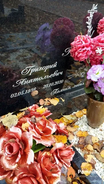 Низовцев Григорий Анатольевич