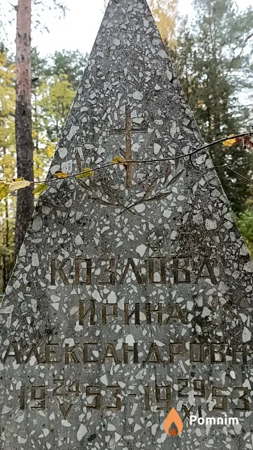 Козлова Ирина Александровна