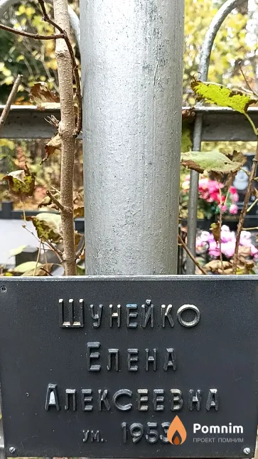 Шунейко Елена Алексеевна