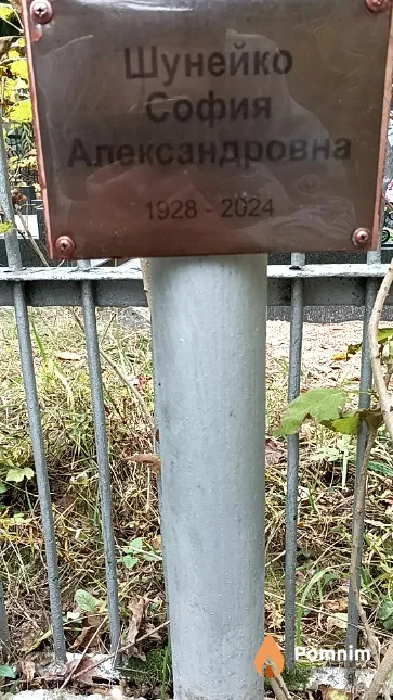 Шунейко София Александровна