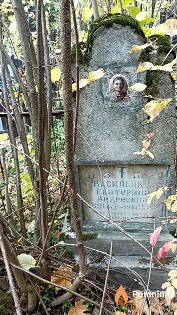 Василенко Екатерина Андреевка