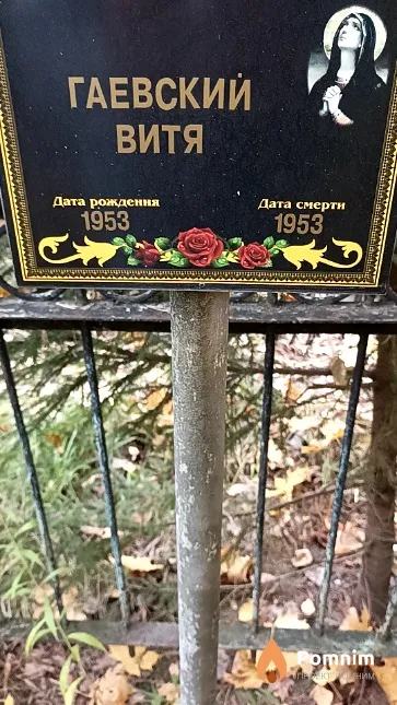 Гаевский Виктор