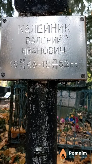 Калейник Валерий Иванович