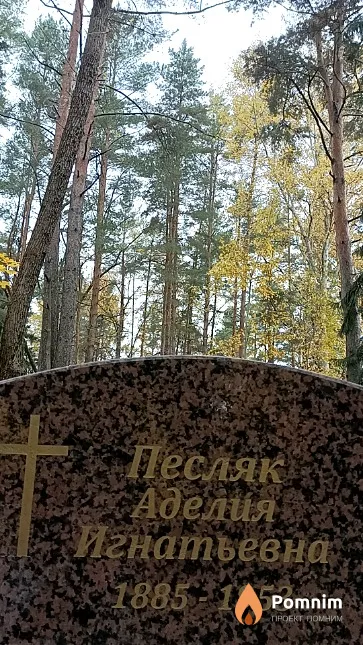 Песляк Аделия Игнатьевна