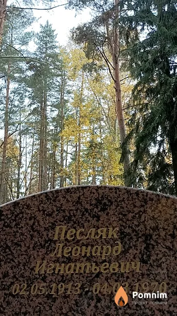 Песляк Леонард Игнатьевич