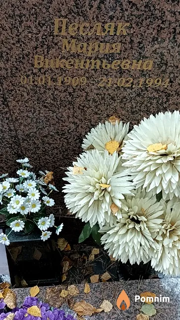 Песляк Мария Викентьевна