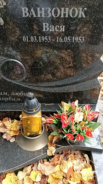 Ванзонок Вася