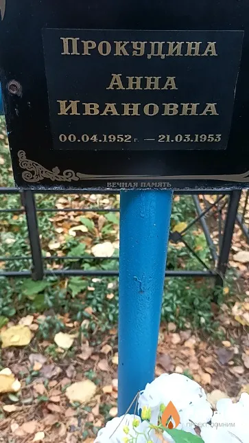 Прокудина Анна Ивановна