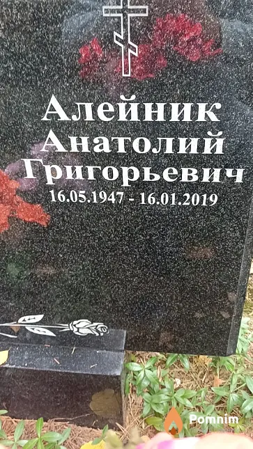 Алейник Анатолий Григорьевич