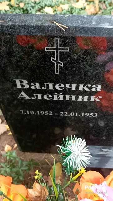 Алейник Валентина