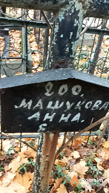 Машукова Анна Е.