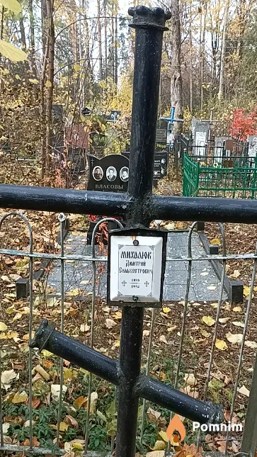 Михалюк Дмитрий Сильвестрович