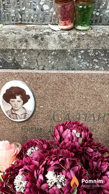 Салтан Елена Дмитриевна