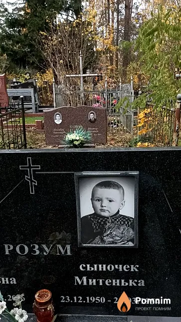 Розум Митенька