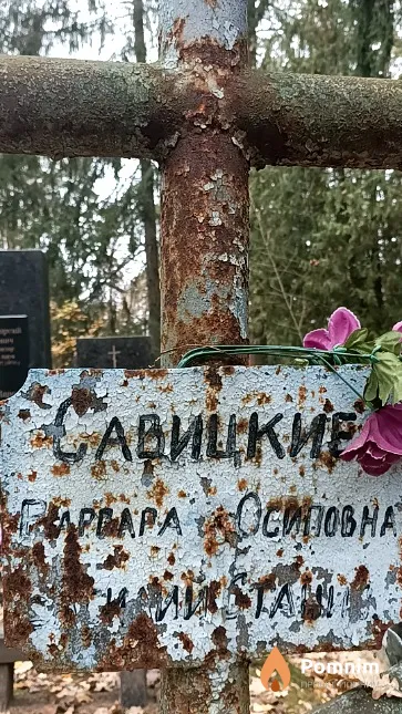 Савицкий Василий Станиславович