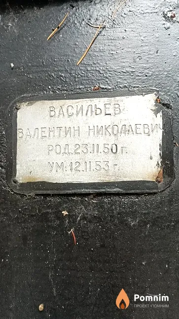 Васильев Валентин Николаевич