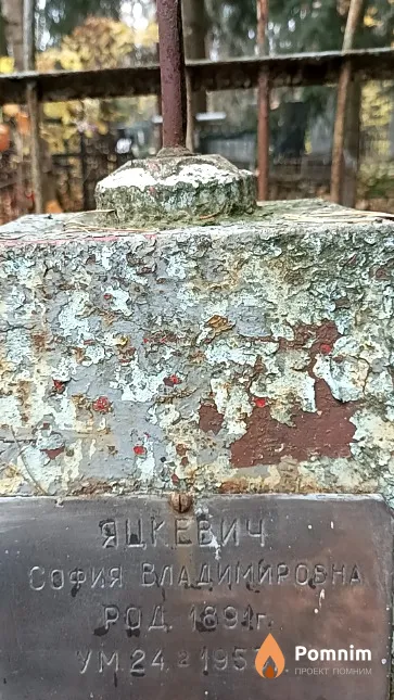 Яцкевич София Владимировна
