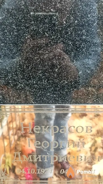 Некрасов Георгий Дмитриевич