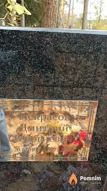 Некрасов Дмитрий Георгиевич