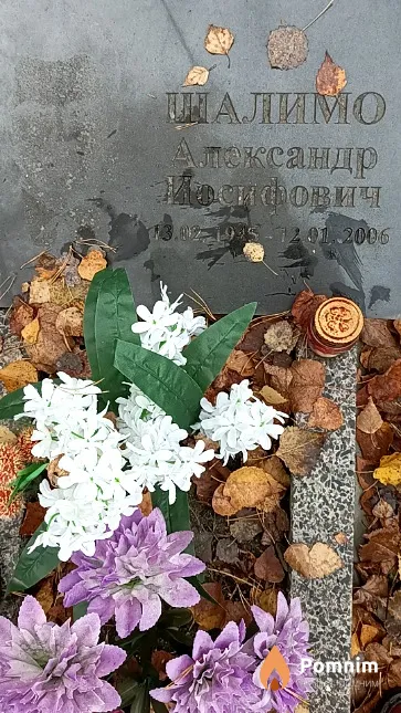 Шалимо Александр Иосифович