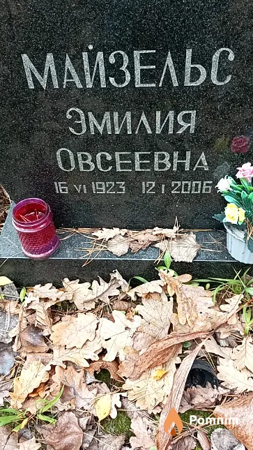 Майзельс Эмилия Овсеевна