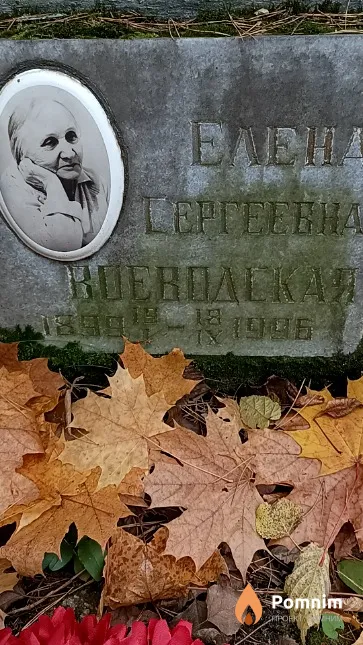 Воеводская Елена Сергеевна