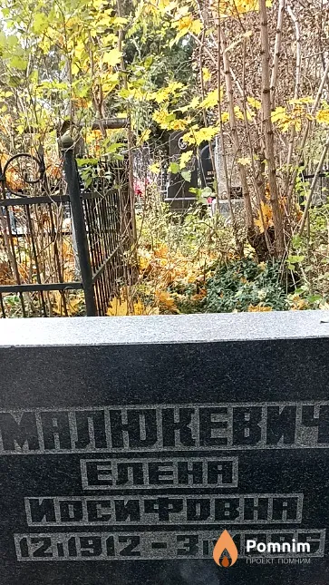 Малюкевич Елена Иосифовна