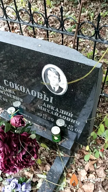 Соколов Аркадий Михайлович