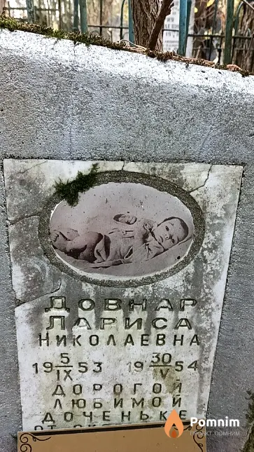 Довнар Лариса Николаевна