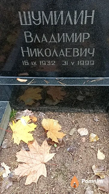 Шумилин Владимир Николаевич