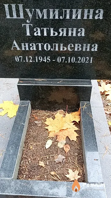 Шумилина Татьяна Анатольевна