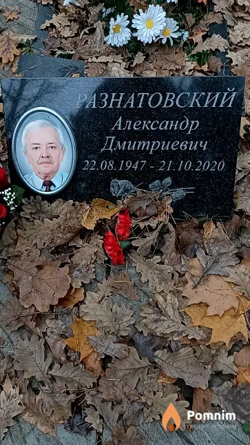 Разнатовский Александр Дмитриевич
