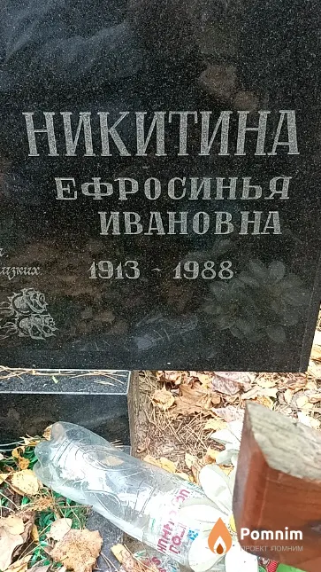 Никитина Ефросинья Ивановна