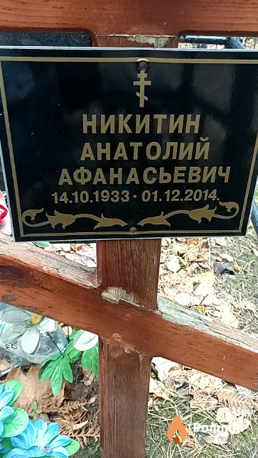Никитин Анатолий Афанасьевич